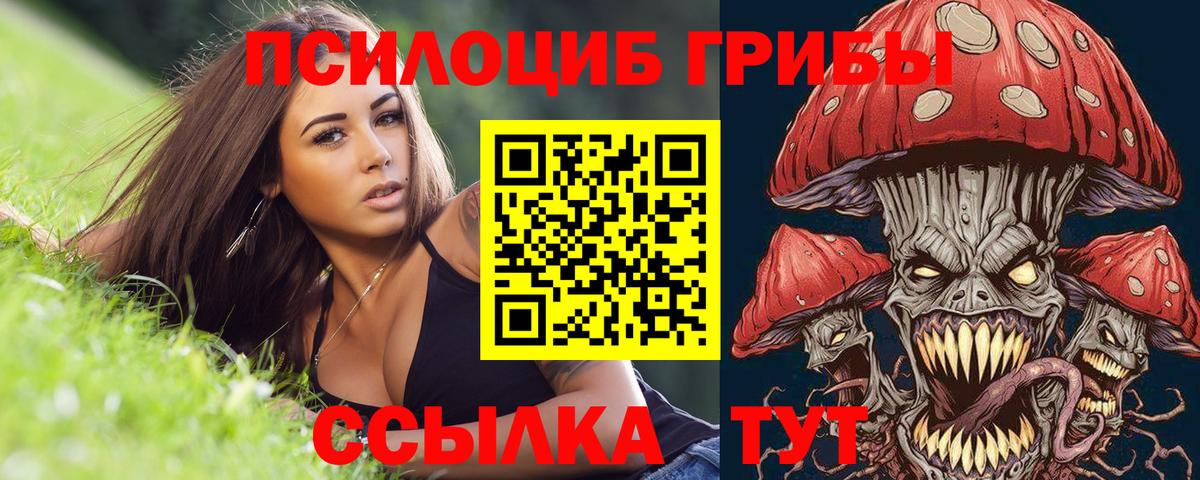 Галлюциногенные грибы Psilocybe Нефтекумск