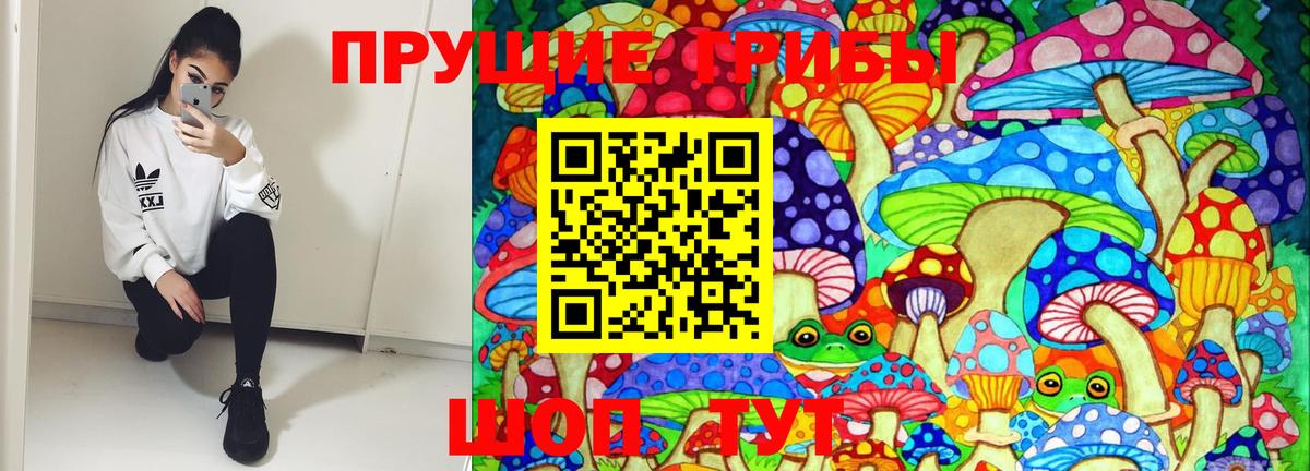 Галлюциногенные грибы Psilocybine cubensis  Вход с VPN  Нефтекумск 